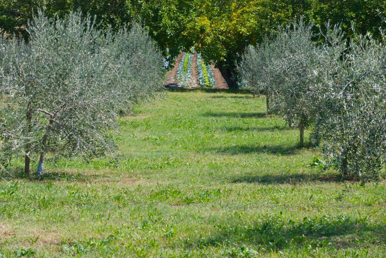 Vakantieboerderij La Costa Fattoria Sociale *