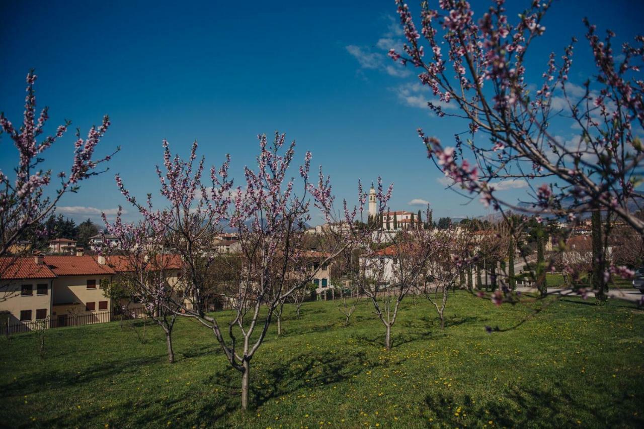 La Costa Fattoria Sociale * Sarcedo